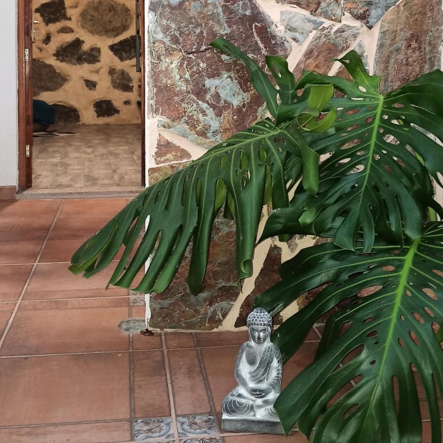 Casa Ada Βίλα Tejeda  Εξωτερικό φωτογραφία